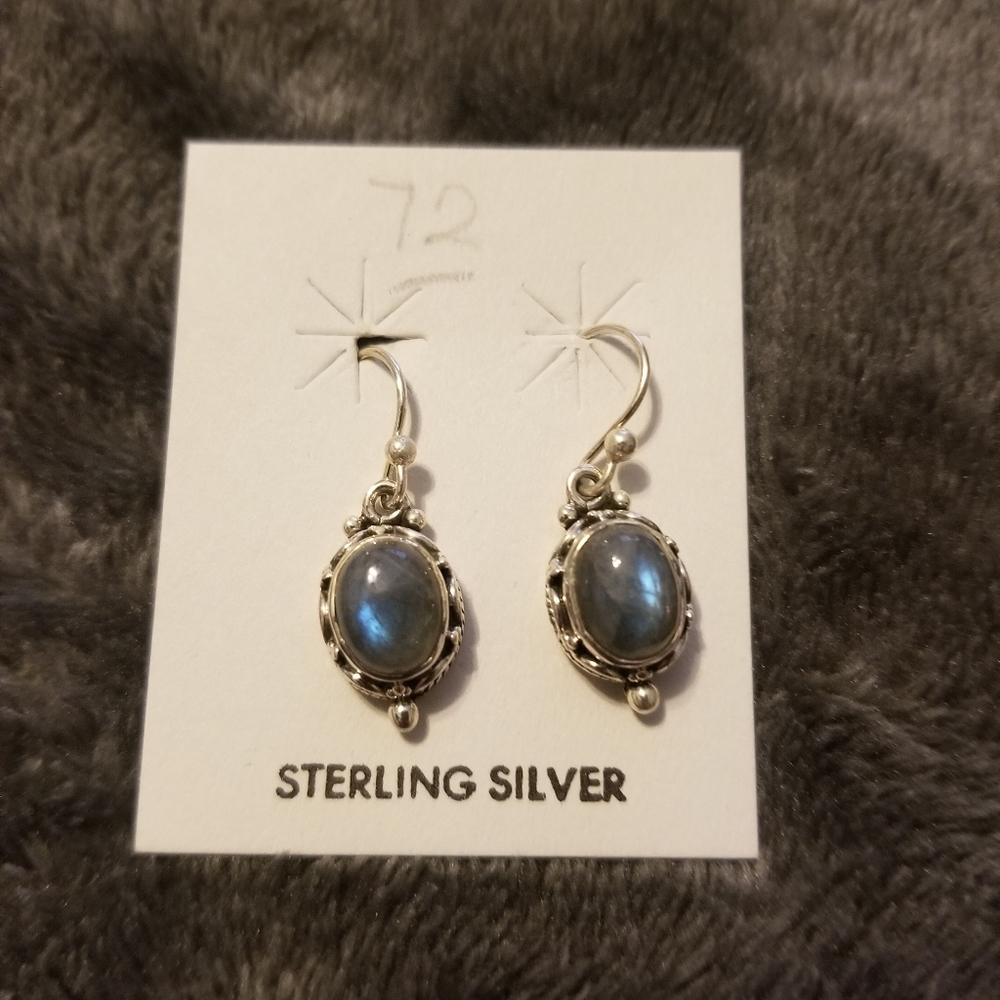 Sterling silver earth stone earrings